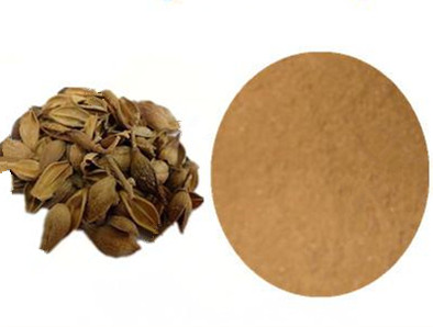 Forsythia Fruit Powder(LianQiaoFen)