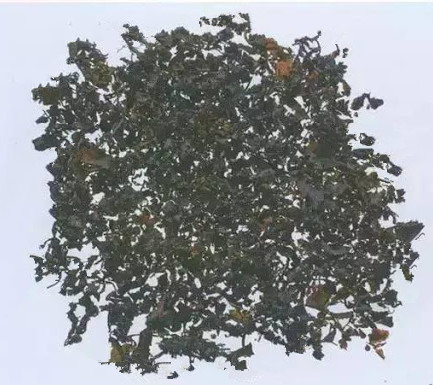 Seaweed （DanHaiCao）