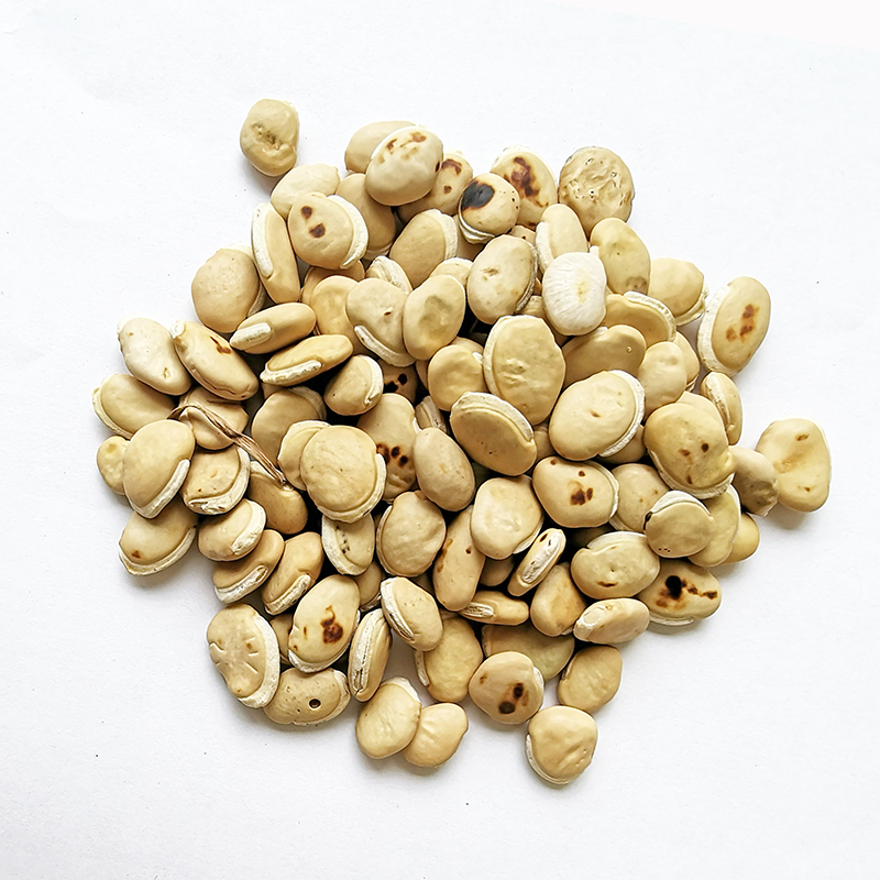 白扁豆