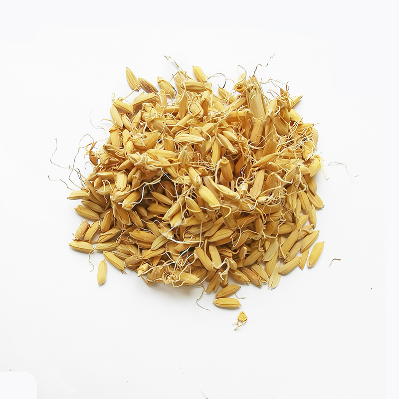 Rice Sprouts （GuYa(Sheng)）