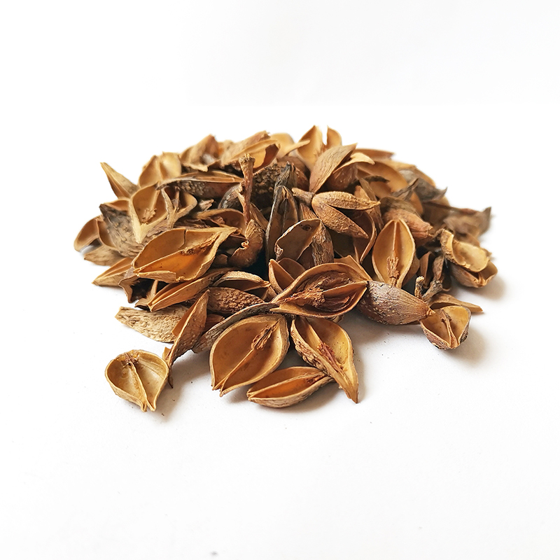 LianQiao连翘