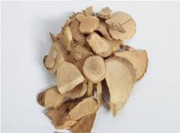 Lindera Root （WuYao）