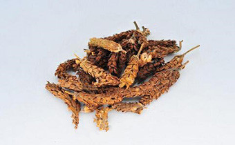 XiaKuCao