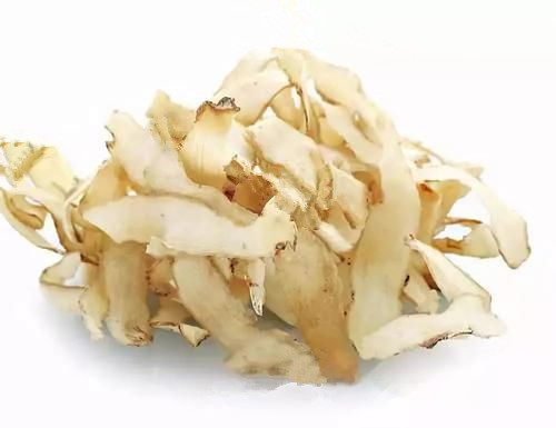 YuZhu