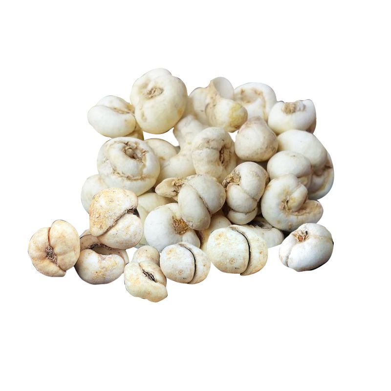 ZheBeiMu